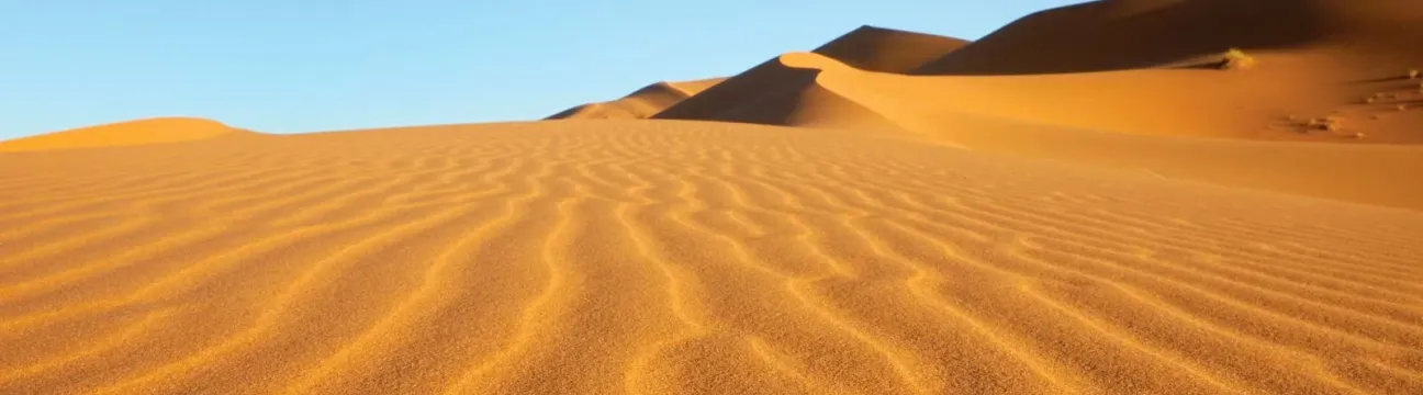 الهوية المصرية